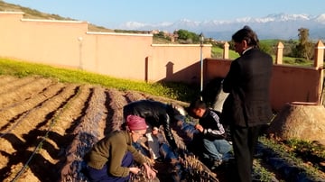 40581829394 61582b3fec o