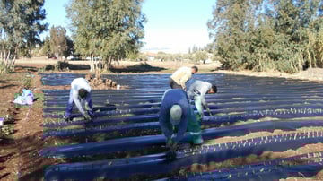 40974732294 7c5dc9a500 o GF