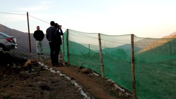 41278775351 edc389cf15 k