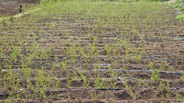 41303270911 9a4b140d70 o