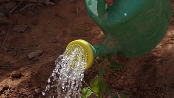 45266120951 d653e4dcaa o