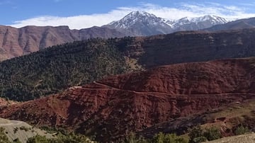 46883921512 625f9c6251 o 1