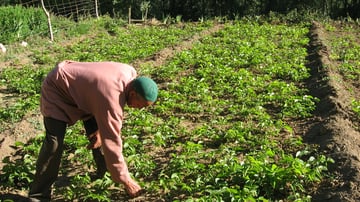 4763090605 026c025ca8 o