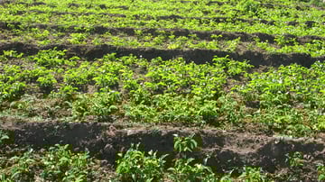 4763701902 9ef43325b1 o