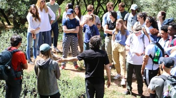 48050244656 2bf50f94c8 o