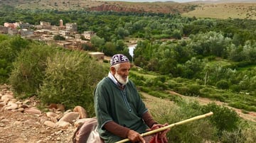 487c7b7d 9fdc fe3b 66d6 1d70f2b64c10