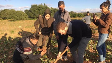 50337240 10155797187167536 6222866222686404608 n 1