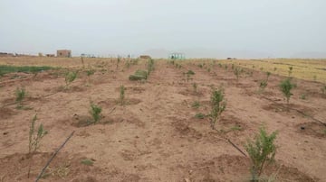 51234499164 2f34b84ba3 o