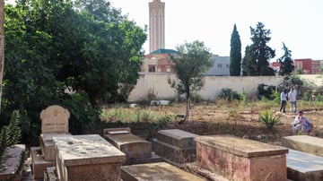 51610835050 ae18ffd3e7 o