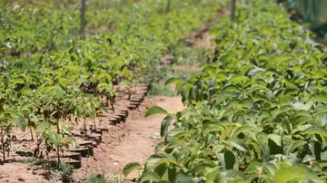 51638333540 f5d942f3ce o