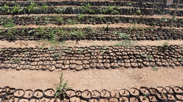 51638430454 8a96e9cdf2 o