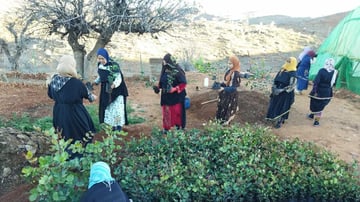 52665545601 7aece541f6 o