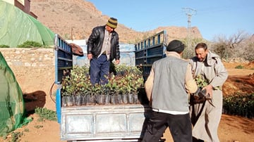 52665834909 c77a96528f o