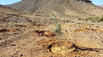 52666045983 c3d9263fd4 o