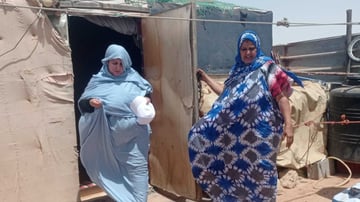 52790759837 f9f8ebbdf1 o