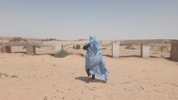 52791761498 75ebae4c73 o