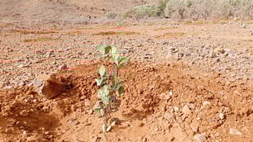 52973831592 1d6ed24638 o