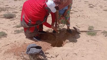 53043732588 ca32079b57 o