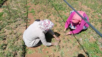 53362742122 24521ed761 o