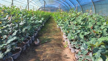 53363856444 7dbe135b62 o