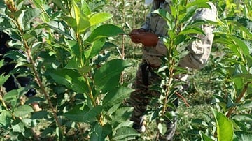 53363856454 887681b210 w