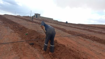 53364121250 e88d8c2ffb o