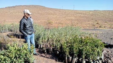 53440022185 f0f8e64a42 o