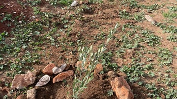 53464645732 d184eaf71e o