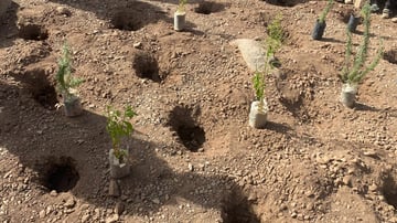 53464648577 14ebf92268 o