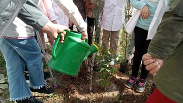 53465553081 15275638ab o