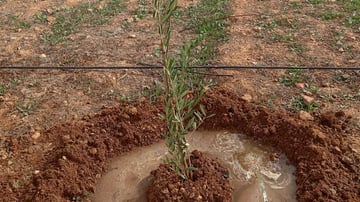 53465553916 fee0c4cf44 o