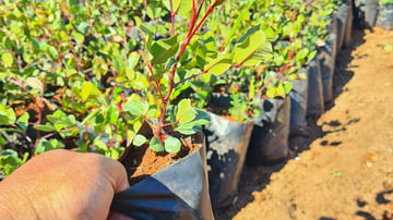 53480083439 e70eeb8174 o