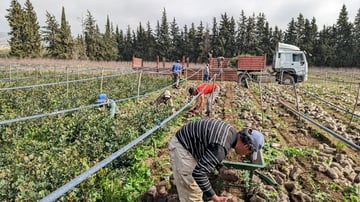 53500035790 b0844a23fd o