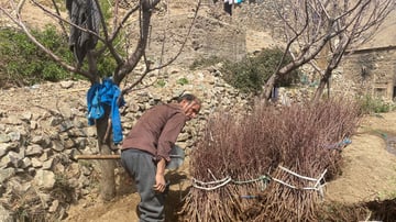 53602070020 2219277039 o