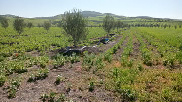 53689100601 a31b10aaa1 o