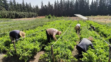 53921200215 c48cd73d30 o