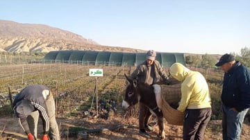 54308662906 4d7d8ea073 o