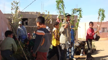 6541405605 28eec79948 o