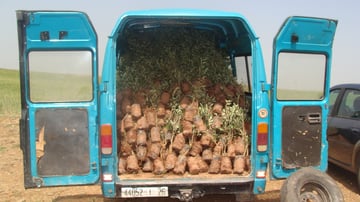 6578027233 48889eceac o