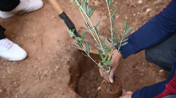 7ab58a 5103b28eabbf486f93424c1182f85e06