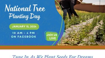 7ab58a 840ed13e0d5d4130a8852c3259381e8fmv2 1