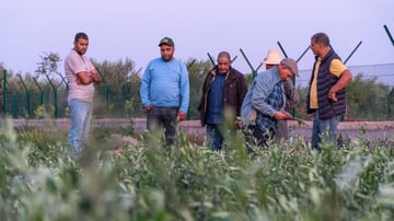 A Farmers Success Story About Almond Trees in Ouarzazate