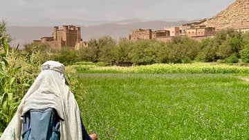 Capture décran 2024 11 05 093533