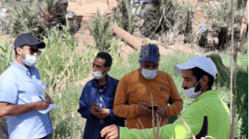 Capture decran 2021 07 27 092334