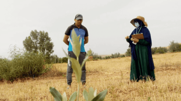 Capture decran 2021 07 27 132259