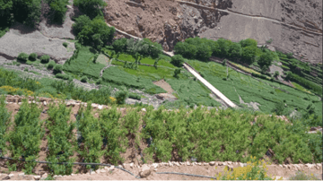 Capture decran 2021 07 28 105637