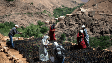 Capture decran 2021 07 28 113104 1