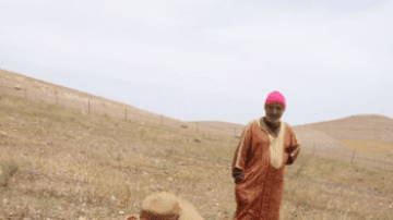 Capture decran 2021 07 28 122147