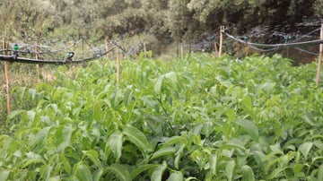 Capture decran 2021 11 19 153619