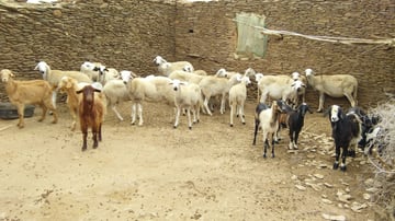 Copy of Copy of IMG20211215134159